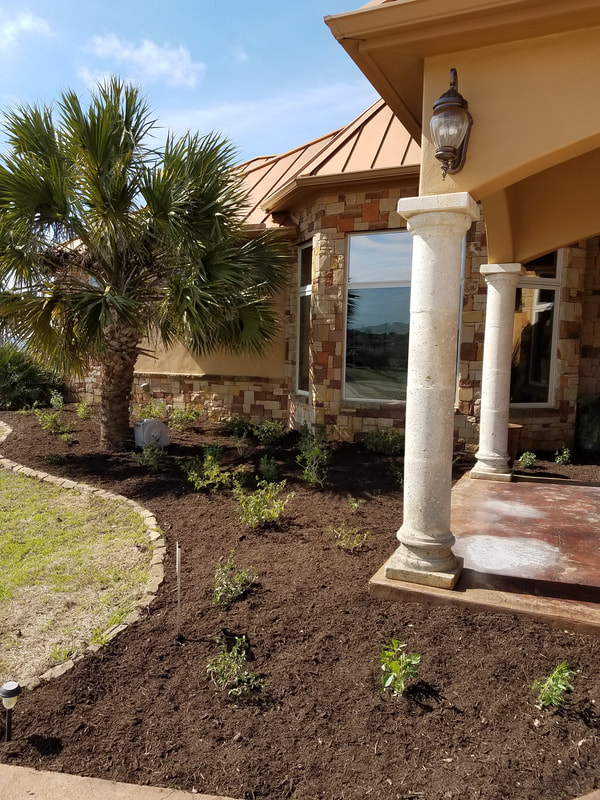 Planting and Mulch Gallery